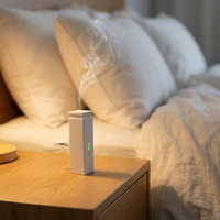 Diffuseur d'arômes sans eau à faible bruit avec batterie rechargeable, huile parfumée de haute qualité, directement de l'usine, pour la maison et la voiture