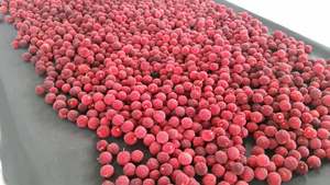 <span class=keywords><strong>Secadora</strong></span> <span class=keywords><strong>de</strong></span> <span class=keywords><strong>Bomba</strong></span> <span class=keywords><strong>de</strong></span> <span class=keywords><strong>Calor</strong></span> <span class=keywords><strong>de</strong></span> Ahorro Energético KINKAI JK03RD para Deshidratar Moras, Arándanos, Bayas, Higos y Albaricoques - Cuarto <span class=keywords><strong>de</strong></span> Secado por Aire Caliente - Product Image 4