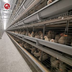 Tam Otomatik Katmanlı Yükselterek Ekipmanları/H Tipi Kanatlı Pil Çiftlik Kafes - Product Image 5