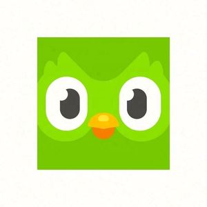 Compte Premium Duolingo Pro 1 an, activez votre propre compte, applicable dans le monde entier - Product Image 3