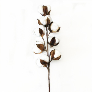 Wholesale 8 Heads Long <strong>Stem</strong> Dried Flowers Artificial <strong>Cotton</strong> for Wedding Home Decoration - Product Image 2