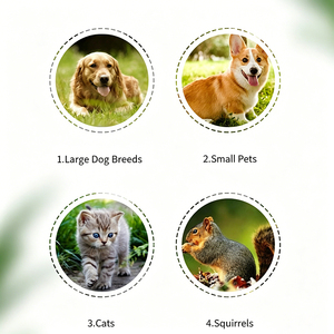 Quiet Professional Handheld Rechargeable Portable Electric Cat Nail Trimmer Pet Dog Nail <b>Grinder</b> - Product Image 5