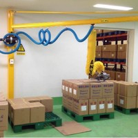 Lève-tubes pneumatique industriel Wenjin pour la manutention de cartons avec garantie de 3 ans, systèmes de levage ergonomiques