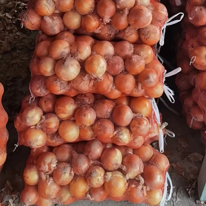 Nhà máy trực tiếp cho tất cả các loại trái cây, rau quả, bao bì tạp hóa dệt kim túi lưới hình ống - Product Image 2