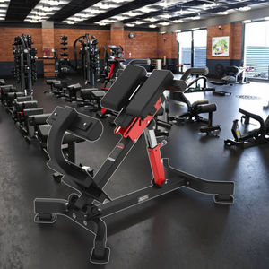 Chaise romaine à hyper-extension à 45 degrés résistante à l'usure, longue durée de vie, banc d'entraînement de gym, vente en gros directe d'usine, faible MOQ, OEM - Product Image 2