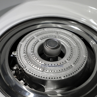 Offre Spéciale Multi Fonction Automatique Grande Capacité Gaz Rétro Cuisine Cuiseurs À Riz