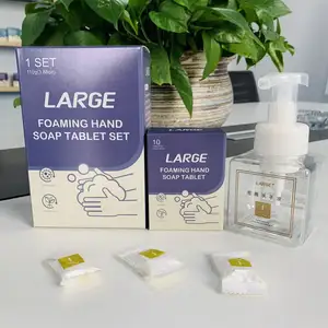 Großhandel reinigung waschmittel flüssigkeit set-Hand Reinigung Brause Tabletten Set