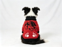 Vente directe d'usine - Nouveau pull à col roulé pour animaux de compagnie, vêtements tricotés chauds en jacquard à motif de chien de dessin animé rouge et noir pour chiens et chats