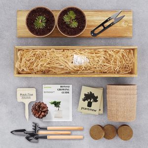 Kit complet de culture de bonsaï japonais, 5 pièces, coffret <span class=keywords><strong>cadeau</strong></span> de <span class=keywords><strong>jardinage</strong></span> unique, outils, jardinières <span class=keywords><strong>pour</strong></span> hommes et femmes, <span class=keywords><strong>pour</strong></span> Noël, anniversaire - Product Image 2