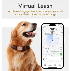มอลลี่ โคดี้เครื่องติดตามสัตว์เลี้ยงด้วย GPS 4G บลูทูธกันน้ำสำหรับแมวสุนัขการติดตามแบบเรียลไทม์แอพ iOS - Product Image 2