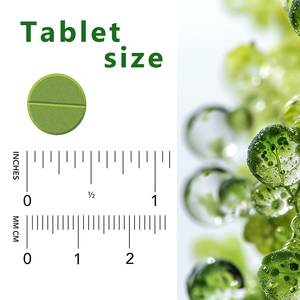 Complément Alimentaire Végétalien en <span class=keywords><strong>Comprimés</strong></span> de <span class=keywords><strong>Spiruline</strong></span> <span class=keywords><strong>Bio</strong></span> 1000mg, Marque Blanche, 120 <span class=keywords><strong>Comprimés</strong></span>, OEM - Product Image 3