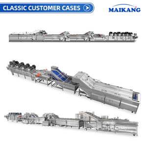 Chaîne <span class=keywords><strong>de</strong></span> blanchiment continu haute performance pour la pré-cuisson des asperges, des carottes et des oignons - Product Image 4