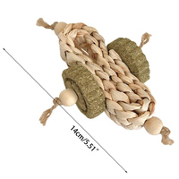 Jouets à mâcher Hamster bâtons à mâcher pour dents petits animaux bâtons à mâcher bâtons molaires pour lapins petits animaux jouets molaires