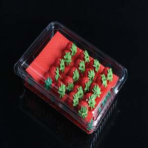 กระดาษซับความชื้นสำหรับบรรจุภัณฑ์อาหารทะเล ผลไม้ และเนื้อสัตว์ สำหรับสวนสัตว์ปีกแบบกำหนดเองได้ - Product Image 3