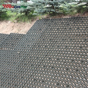 Pavés en gazon modernes en HDPE écologiques et économiques avec grille en plastique pour parking ou allée - Product Image 3