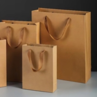 Portable Gold-embossed Printed Gift Carry Paper Bags Package Craft Package