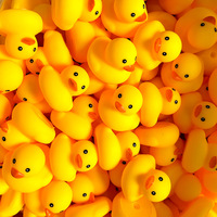 Canard en caoutchouc pour le bain des enfants, jouet flottant pour piscine, jouet personnalisé avec logo imprimé, canard jaune à paillettes colorées et sonore