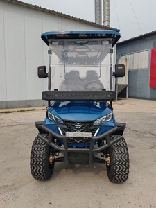 300cc xăng xe Golf Golf <span class=keywords><strong>Buggy</strong></span> 4 6 chỗ ngồi cao cấp xuyên quốc gia tùy chỉnh off-road săn bắn xe scooter - Product Image 3