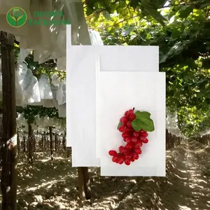 Grape Protective Case Bag Customized Wax Paper Bags