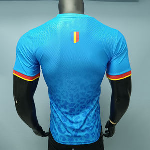 Оптовая продажа, индивидуальный пошив: Мужские спортивные футболки для Кубка Африки наций 26-27, быстросохнущие, дышащие, ткань 220 г, версия для лучшего игрока сборной Конго - Product Image 5