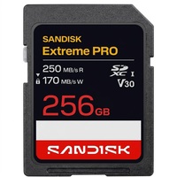 Kartu Flash SanDisk PRO Asli 100% Micro Card 4K V30 U3 C10 256GB Cocok untuk Penyimpanan Kamera 4K