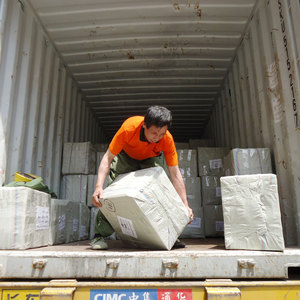 Commercio all'ingrosso 500 g/lotto Sea Shell Flowers Cup Star paillettes sciolte perline da cucito Glitters coriandoli 3D accessori per unghie decorazioni - Product Image 6