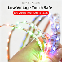 Bande LED T-2K-U 12V à émission latérale, largeur 5mm, couleur intégrale, puce WS2812B 5050, flexible, adressable, programmable, alimentée par USB, en ABS