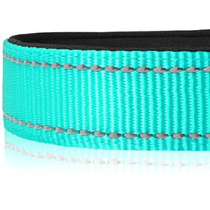 Hochwertiges reflektieren des Polyester-Neopren-gepolstertes personal isiertes Hunde halsband mit nachhaltig bedruckten Muster bändern Haustier leinen - Product Image 2