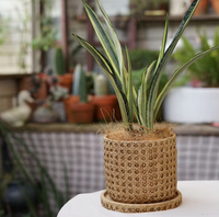 Pots et jardinières suspendus créatifs et modernes pour l'intérieur et l'extérieur, avec support de sol en ciment écologique pour une utilisation en jardin