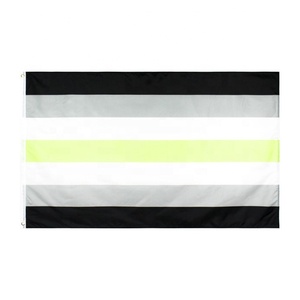 Precio de fábrica Bandera de orgullo de cuero 3x5 pies Bandera de arco iris interior al aire libre igualdad de derechos para los homosexuales - Product Image 5