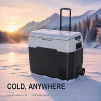 Réfrigérateur-congélateur de voiture 50L 12V portable, glacière médicale sur roulettes -20°C ℃   DC12V 24V AC double usage pour camion, camping-car, camping, extérieur