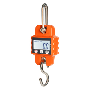 Model Cost Effective OCS L4 Digital 300kg 500kg Electronic Hanging Crane Hook <b>Scale</b> - Product Image 4