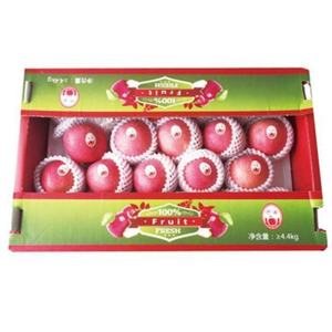 신선한 중국산 후지 사과, 산둥성 원산지 대량 도매가 신선 과일 - Product Image 5