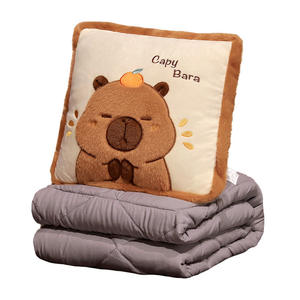 2025热销卡皮巴拉空调带毯二合一手提包两用午休空调 - Product Image 1