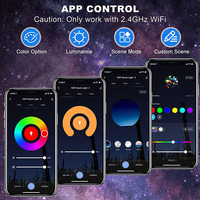 Projecteur LED intelligent WiFi Galaxy avec commande vocale, haut-parleur sans fil, synchronisation musicale, lumière étoilée et télécommande