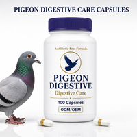 Capsules Probiotiques Pigeon Digestive Care pour le Conditionnement Intestinal des Pigeons de Course et de Voyage, 100 Unités, Marque Privée