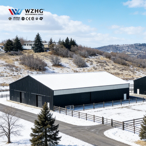 Business Distribution Hub Warehouse Apartment Fast Installation Anti-Corrosion Steel Structure Building 50-Year Lifespan 5+ Year - Product Image 1