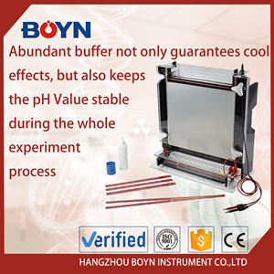 BN-CX2B, Секвенирование нуклеиновых кислот, генотип, электрофорез - Product Image 4