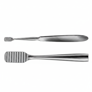 LEWIS Lima de hueso de dientes finos de 8mm y raspadores por GRAYROCKS ENTERPRISES Hecho en Pakistán - Product Image 2