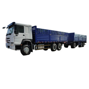 50 tonnes à 120 tonnes de capacité de charge HOWO 6X4 camion de cargaison avec la remorque de barre extensible à vendre Djibouti - Product Image 2