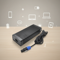 Chargeur de batterie au phosphate de fer et de lithium 36,5V 9A pour stockage d'énergie extérieur, durée de vie 3000 cycles, IP20