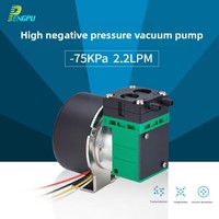 Pompe micro sans balais Pengpu 24V DC résistante à la corrosion, petite pompe 12V pour échantillonnage de COV, pompe à air longue durée de vie G3BW en plastique technique