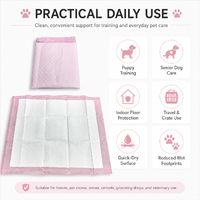 Vente en gros de tapis d'apprentissage jetables pour chiens et chats, rose pâle, anti-fuites, confortables, non-tissés, OEM en vrac