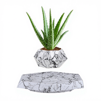 Pot de plante lévitant, décoration d'intérieur, bonsaï, jardinières suspendues, pot de fleurs magnétique flottant pour petites plantes