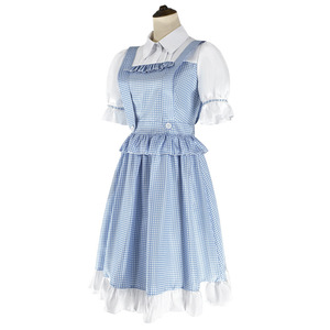 blue gingham dorothy dress Dorothy Rosebud Gingham Puff Sleeve Mini Dress