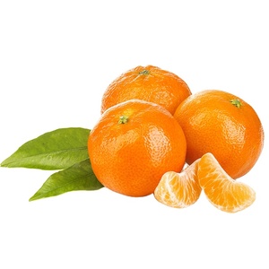 Order High Quality Fresh Organic Hydrated kinnow mandarin Low Moq 