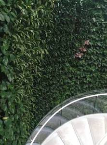 Jardinera Modular Apilable para Pared Verde, Sistema de Jardinera Vertical para Paredes Planas, Pilar Verde Vertical y Horizontal - Product Image 5