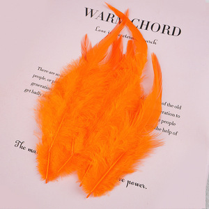 Vente Pas Cher Naturel Blanc DIY Coq Selle Plume Lâche En Vrac Mouche Attacher Pluma De Gallo Carnaval Chapeaux Dreamcatcher Décoration - Product Image 6