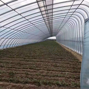 Serre tunnel monocouche économique en film PE pour l'agriculture solaire, idéale pour la culture des tomates et des concombres, marque Bafangle, Wuxi, Chine - Product Image 5