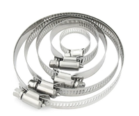 Collier de serrage réglable en acier inoxydable 304 DIN3017-1 de 16 mm à 25 mm pour tuyau de carburant, type serpentin, avec clip de fixation DIN3017-1